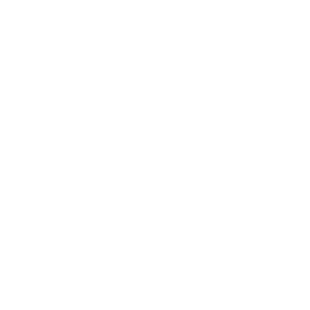 VMZ